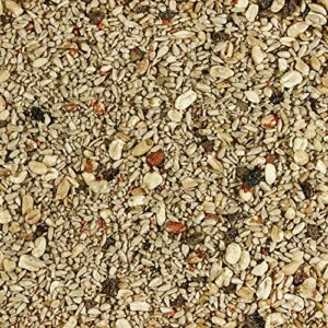 Kaytee Waste Free Nut and Raisin Blend, 5-Pound