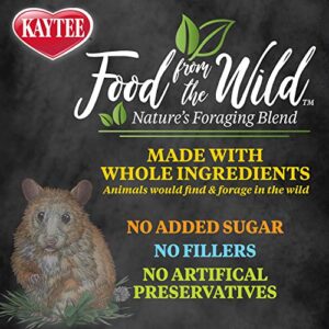 Kaytee Food from The Wild Natural Pet Hamster Food, 2 Pound