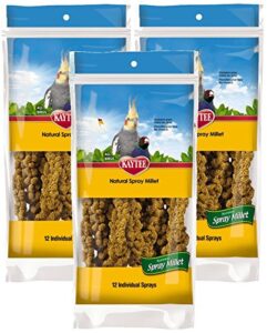 kaytee spray millet for birds (pack of 3)