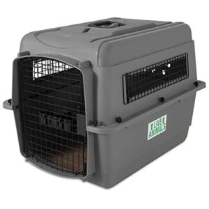 petmate sky kennel pet carrier, 28 inch