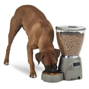 Petmate Portion Right Programmable Dog and Cat Feeder 2 Sizes Brushed Nickel