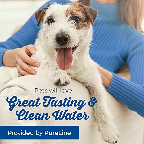 PureLine Petmate Replendish Water Filter Replacement, Also Compatible with Petmate Mason and Petmate Replendish and Mason Gravity Waterer Bowls. with Advanced Filtration (12 Pack)