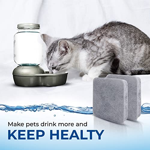 PureLine Petmate Replendish Water Filter Replacement, Also Compatible with Petmate Mason and Petmate Replendish and Mason Gravity Waterer Bowls. with Advanced Filtration (12 Pack)