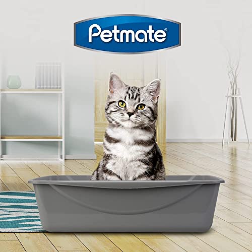 Petmate Open Cat Litter Box, Large Nonstick Litter Pan Durable Standard Litter Box, Mouse Grey Great for Small & Large Cats Easy to Clean & USA Made