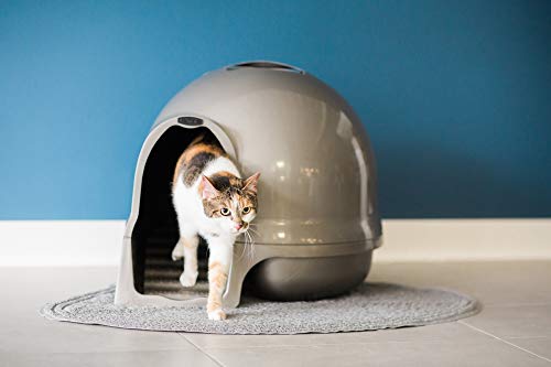 Petmate Booda Clean Step Cat Litter Box Dome (Made in the USA with 95% Recycled Materials)- Brushed Nickel