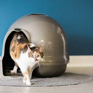 Petmate Booda Clean Step Cat Litter Box Dome (Made in the USA with 95% Recycled Materials)- Brushed Nickel