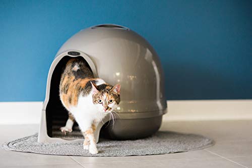 Petmate Booda Clean Step Cat Litter Box Dome (Made in the USA with 95% Recycled Materials)- Brushed Nickel