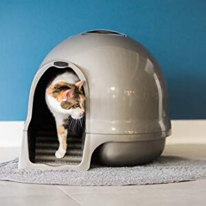 Petmate Booda Clean Step Cat Litter Box Dome (Made in the USA with 95% Recycled Materials)- Brushed Nickel