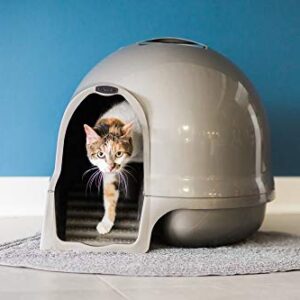 Petmate Booda Clean Step Cat Litter Box Dome (Made in the USA with 95% Recycled Materials)- Brushed Nickel