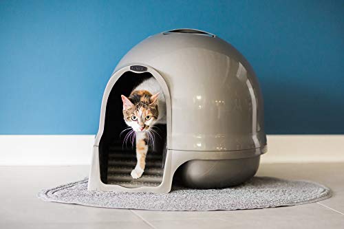 Petmate Booda Clean Step Cat Litter Box Dome (Made in the USA with 95% Recycled Materials)- Brushed Nickel