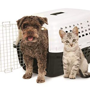 Petmate 41032 Compass Fashion Kennel Cat and Dog Kennel, 10-20 lb., Pearl White/Black