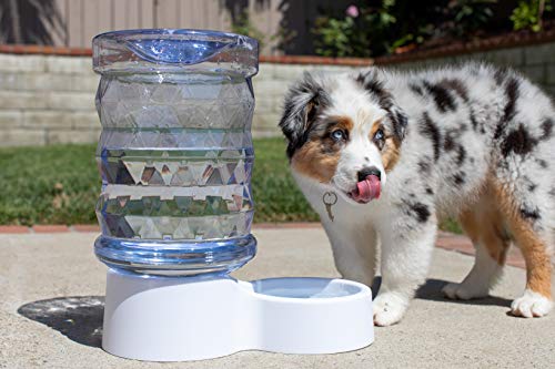 PetFusion H2O Gravity Pet Water Dispenser. Durable 2.5 Gallon Water Feeder. Automatic Water Station for Cats & Small, Medium, Large Dogs, Transparent (PF-GW1)