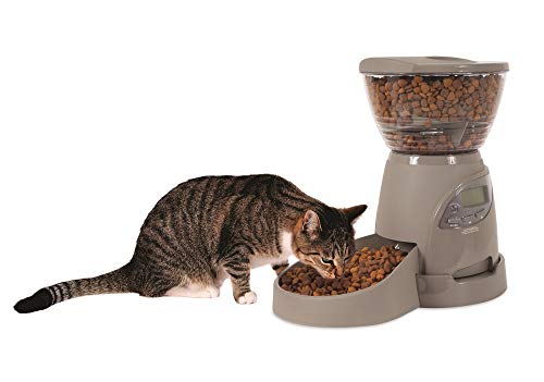 Petmate Portion Right Programmable Dog and Cat Feeder 2 Sizes Brushed Nickel