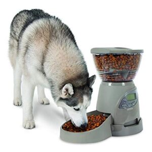 Petmate Portion Right Programmable Dog and Cat Feeder 2 Sizes Brushed Nickel