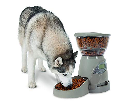 Petmate Portion Right Programmable Dog and Cat Feeder 2 Sizes Brushed Nickel