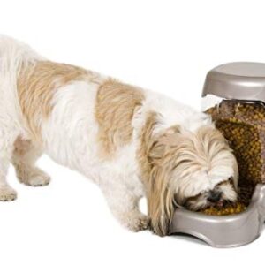 Petmate Pet Cafe Feeder Dog and Cat Feeder Pearlescent Colors 3 Sizes