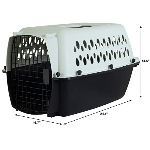 ASPEN PET Fashion Dog Kennel, Various Sizes