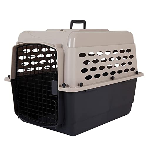 Petmate Vari Dog Kennel, Portable Dog Crate for Small & Medium Dogs, Great for Puppies Indoor or Outdoor, Perfect Travel Dog Crate & 290300 Kennel Travel Kit for Pets