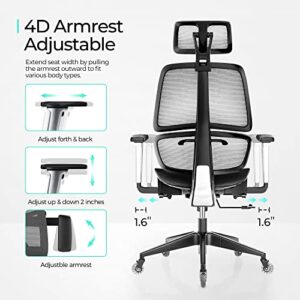 LINSY HOME High-Back Office Chair, Swivel Ergonomic Task Chair with Adjustable Headrest and Arms, Lumbar Support and PU Wheels, Computer Mesh Chair for Home Office, Grey