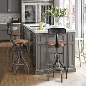 Diwhy Industrial Vintage Bar Stool,Kitchen Counter Height Adjustable Pipe Stool,Cast Iron Stool,Swivel Bar Stool with Backrest,Metal Stool,Silver,Fully Welded Set of 2 (Wooden Top)