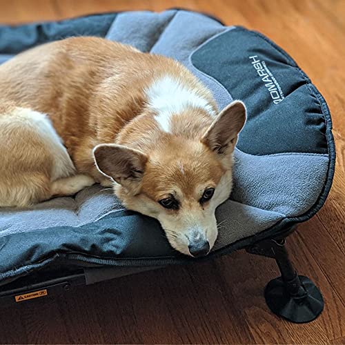 Momarsh Elevated Dog Cot with Washable Soft Pad & Folding Frame for Travel & Home Use| All in One Pet Bed Cot System for Dogs