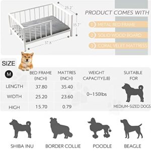 OSCHF Dog Bed with Rails - Elevated Pet Metal Bed Frame with Solid Wood Board and Washable Soft Mat for Medium Dog Indoor or Outdoor Use, 25.2" x 37.8", White