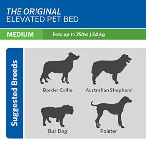 Coolaroo The Original Cooling Elevated Pet Bed, Turquioise, Medium