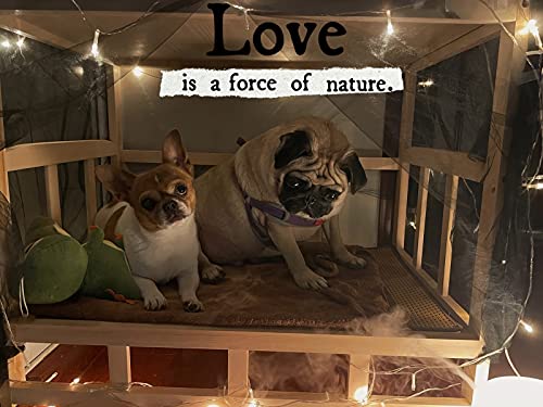 HYDT Wooden Double- Layer Elevated Pet Bed Cot for Bedside Table, All Seasons Dog Cot with Mattress, Easy to Assemble (Size : 120x60x70cm/47.2x23.6x27.6in)