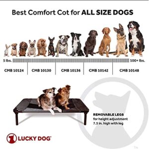 Lucky Dog 48'' Elevated Pet Bed Cot | Indoor & Outdoor Use | Gray