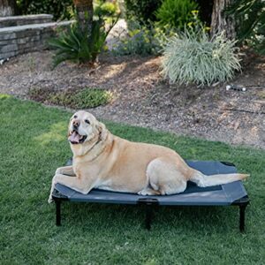 lucky dog 48” elevated pet bed cot | indoor & outdoor use | gray