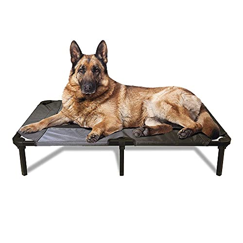 Lucky Dog 48'' Elevated Pet Bed Cot | Indoor & Outdoor Use | Gray