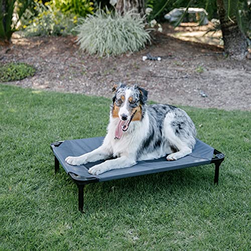 Lucky Dog 36'' Elevated Pet Bed Cot | Indoor & Outdoor Use | Gray