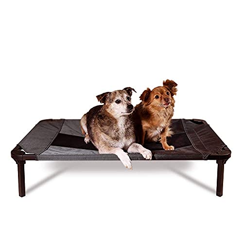 Lucky Dog 36'' Elevated Pet Bed Cot | Indoor & Outdoor Use | Gray