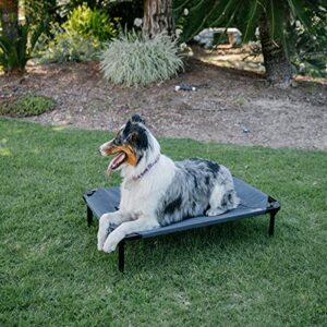 Lucky Dog 36'' Elevated Pet Bed Cot | Indoor & Outdoor Use | Gray