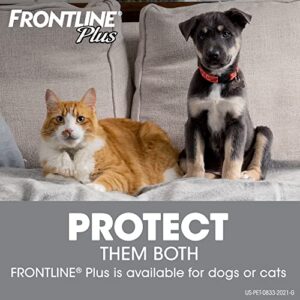 FRONTLINE Plus For Cats and Kittens Flea and Tick Treatment, 3 Doses