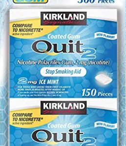 Kirkland Signature Quit Ice Mint Gum 2mg, 300 Pieces