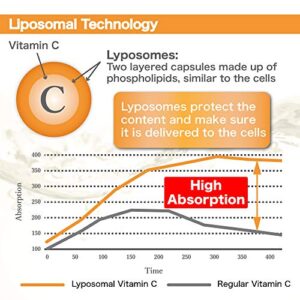 Liposomal Vitamin C Complex 1500mg(2 Capsules) - 180 Capsules - High Absorption Vitamin C- Supports Immune System and Collagen Booster - Powerful Antioxidant High Dose Fat Soluble Supplement Dr.Plus