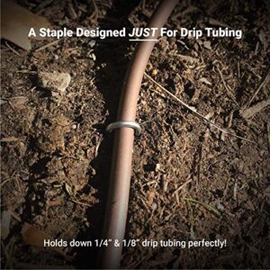 Sandbaggy DRIP TUBING Stakes Landscape Staples | 5 inch Length | Drip Anchors | Landscape Pins | Lawn Nails | Garden Stakes | Designed to Hold Drip Tubing Up to 1/4" Diameter | Pack of 100
