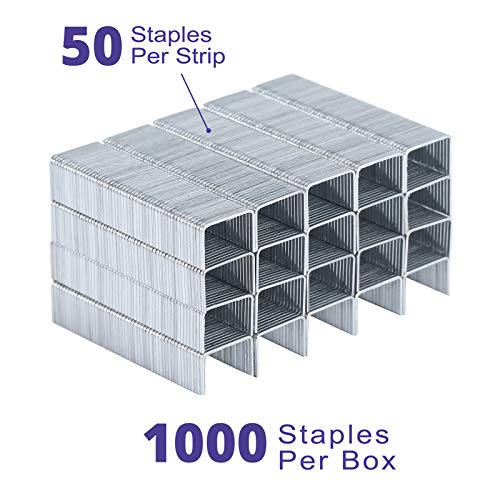 Mr. Pen- Staples for Staple Gun, Light Duty, 5/16 Inch, 8 mm, 1000/Box, 1 Box, Staples for Stapler Gun, Staple Gun Staples, Staples for a Staple Gun, Fine Wire Staples, Only for Mr. Pen Staple Gun Use