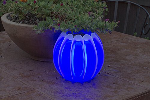 Poolmaster Floating Pool Lights for Swimming Pool, Patio and Hanging Solar Lanterns, 2 Pack, Blue