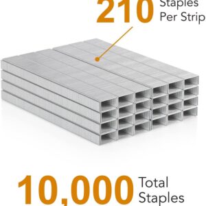 Staples 2 Pack - 10,000 Staples Standard - Heavy Duty Chisel Point Standard Staples 1/4 Inch Staple - Standard Staples for Stapler Jam Free Office Staples for Standard Stapler