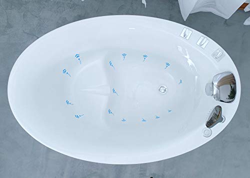 Empava 48 Inch Acrylic Luxury Freestanding Bathtub Hot Whirlpool Soaking SPA Air Massage Tub with Faucet and Knobs and Shower Head