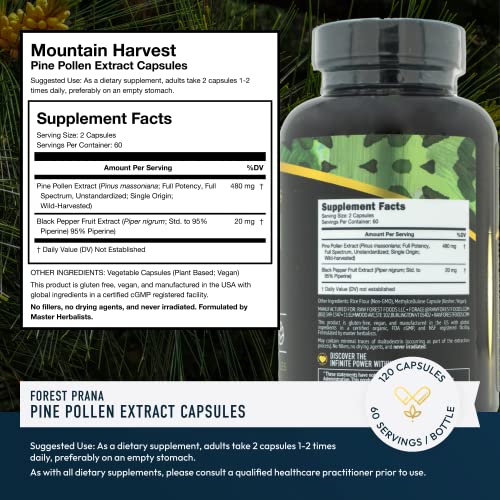 Pine Pollen Extract Capsules — Adaptogenic, Phytosterols, Endocrine Health Support — Highest Potency, Ultra-Pure Extract — Men & Women — No Fillers, Never Irradiated, Vegan, Non-GMO — 120 Count