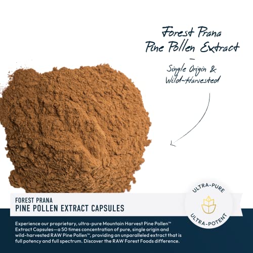 Pine Pollen Extract Capsules — Adaptogenic, Phytosterols, Endocrine Health Support — Highest Potency, Ultra-Pure Extract — Men & Women — No Fillers, Never Irradiated, Vegan, Non-GMO — 120 Count