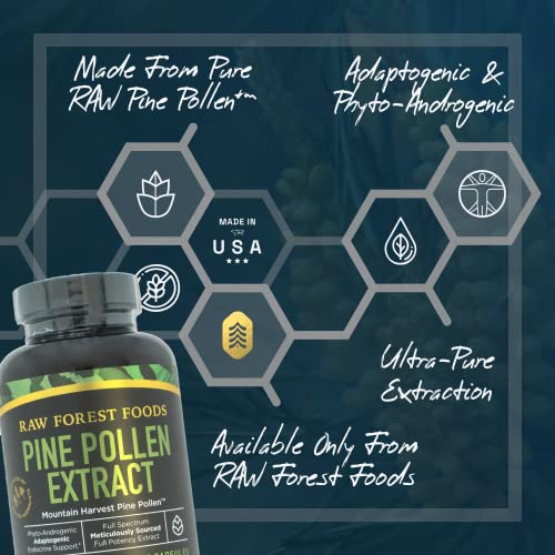 Pine Pollen Extract Capsules — Adaptogenic, Phytosterols, Endocrine Health Support — Highest Potency, Ultra-Pure Extract — Men & Women — No Fillers, Never Irradiated, Vegan, Non-GMO — 120 Count