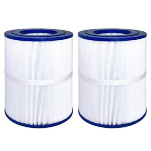 wowreed spa filter replaces pdm 28, 461273,2015& newer aquarest dreammaker cottage collection models(not oval end),2 pack