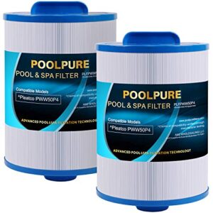 poolpure replacement filter for pww50p4, 1 1/2″ mpt thread screw in filter, 2 pack