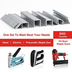 SHALL Heavy Duty T50 Staples and 18GA Brad Nails Combo Kit, 8000-Count, Four Sizes of T50 Staples for Staple Gun Including 1/4, 5/16, 3/8, 1/2 Inch and Two Sizes of Brad Nails Including 1/2, 9/16 Inch