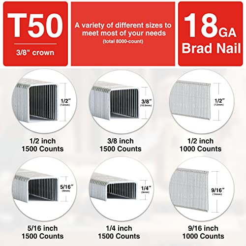 SHALL Heavy Duty T50 Staples and 18GA Brad Nails Combo Kit, 8000-Count, Four Sizes of T50 Staples for Staple Gun Including 1/4, 5/16, 3/8, 1/2 Inch and Two Sizes of Brad Nails Including 1/2, 9/16 Inch