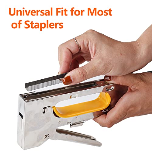 SITLDY Heavy Duty T50 Stainless Steel Staples 1000-Count 3 Sizes for Staple Gun, Includes: 5/16", 3/8", 1/2" Assortment, Combo kit (1000)